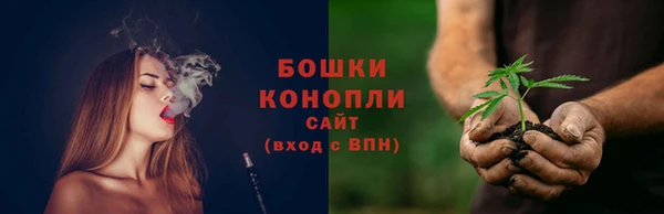 меф Заводоуковск