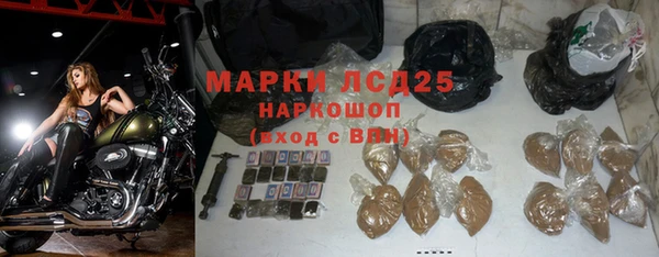 крисы Осинники